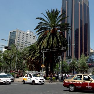 Número de autos crecería con nuevo 'Hoy No Circula': estudio