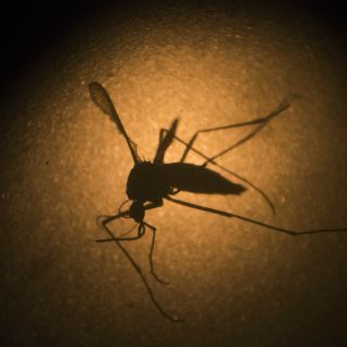 Uruguay registra primer caso de zika importado