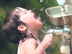 Está demostrado que el agua potable común es la mejor opción para mantener los niveles de hidratación en nuestro cuerpo. AP /