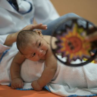 La OPS no ha podido confirmar si el zika causa microcefalia