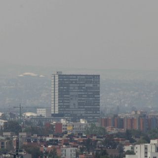 Necesario, acción conjunta por contingencia ambiental: Zambrano