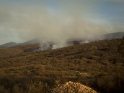 De acuerdo con reportes el fuego de la biósfera lo iniciaron cazadores furtivos de animales de la zona. EL INFORMADOR / ARCHIVO