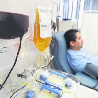 Virus del zika y dengue afectan también la donación de sangre