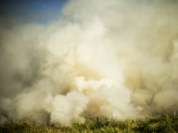 El incendio dañó más de 250 hectáreas de la reserva de la biósfera La Encrucijada. EL INFORMADOR / ARCHIVO