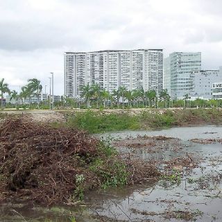 Ex edil de Cancún se deslinda de venta de terrenos en Tajamar