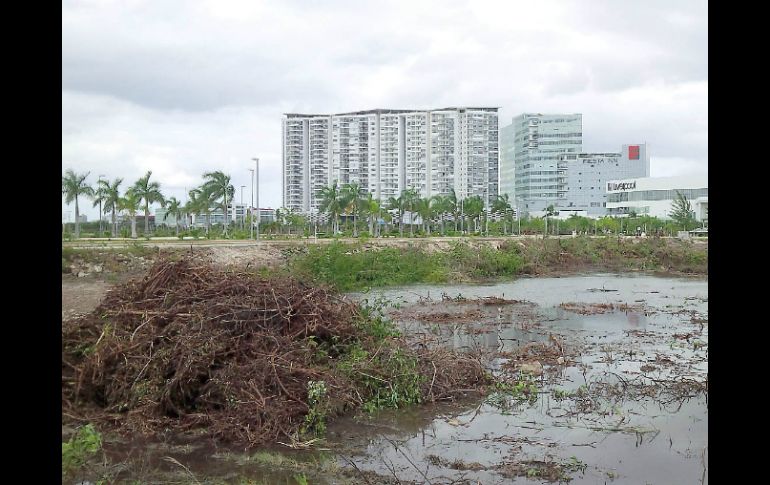 El movimiento 'Salvemos Manglar Tajamar' dice que algún acreedor se quiso cobrar deudas del ayuntamiento con los predios. SUN / ARCHIVO