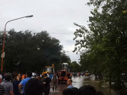 Corrientes y Chaco son las provincias más afectadas. YOUTUBE / Leandro Martin Ríos