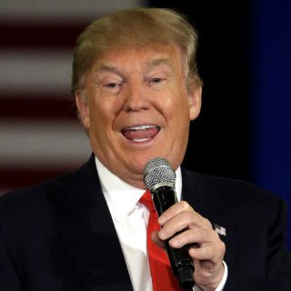 Publicarán 'exhaustiva' biografía de Donald Trump