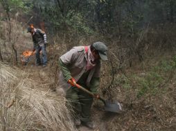 Los brigadistas tendrán más herramientas para mejorar sus conocimientos en primeros auxilios, comando de incidentes y más. NTX / ARCHIVO