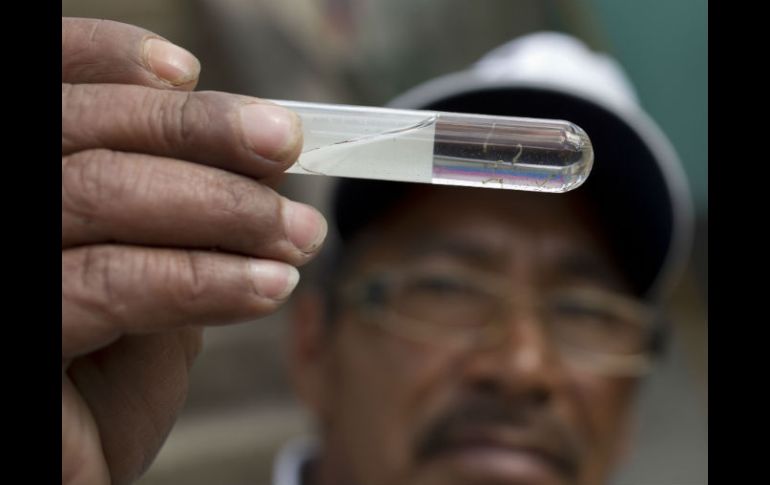 Las entidades con casos registrados son Chiapas, Oaxaca, Veracruz, NL, Jalisco, Michoacán, Nayarit, Sinaloa, Tabasco y Yucatán. AP / ARCHIVO