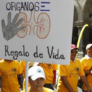 Congreso de Colombia aprueba ley de donación de órganos