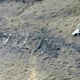 Mujer sobrevive nueve días en un bosque de Arizona