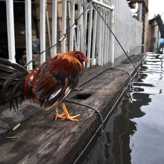 'María' deja 13 muertos solo en Puerto Rico