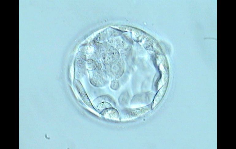 Es la segunda vez que un grupo de médicos chinos causa controversia por experimentos de modificación genética embrionaria. ESPECIAL /