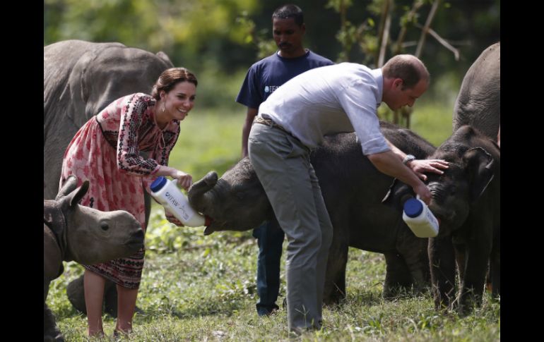 Tras su cuarta jornada de viaje a la India, Guillermo y Catalina se dirigirán mañana a Bután. AP / A. Abidi