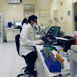 Investigan influencia de médula ósea en tumores