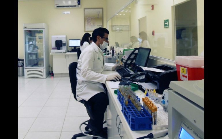 Señalan que las células se la médula ósea son atraídas hacia el tumor para ayudarlo a desarrollarse. EL INFORMADOR / ARCHIVO