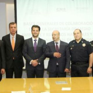 Crean Gendarmería Ambiental contra delitos en la materia