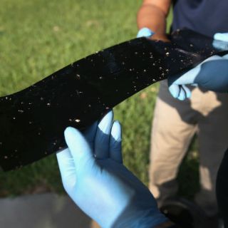 La UNAM obtiene patente para combatir dengue y zika