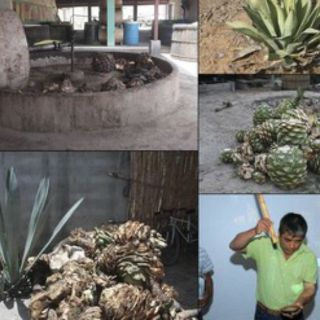Elaborar mezcal es una tradición ancestral en Oaxaca