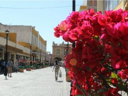 Un paseo por el centro. EL INFORMADOR / F. González