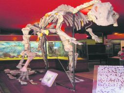 El impresionante Kritosaurio pico de pato. EL INFORMADOR / P. Fernández Somellera