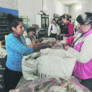 Salvan 40 toneladas de alimento al día