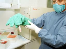 Se tiene la esperanza de que brinden beneficio en áreas motoras, de lenguaje y cognitiva. NTX / ARCHIVO