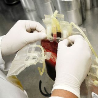 Pacientes con hemofilia requieren atención oportuna