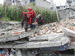 El terremoto fue de 7.8 grados, el más fuerte en azotar a Ecuador en décadas. EFE / F. Constante