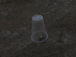 En el lugar quedaron al menos 14 casquillos de bala. EL INFORMADOR / ARCHIVO