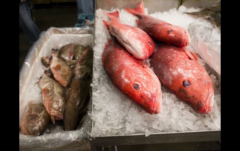 El objetivo es que el consumidor final no rompa la cadena de frío que deben de tener estos alimentos. AP / ARCHIVO