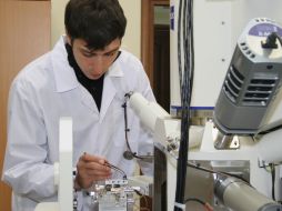 Se inició investigación para saber si los alergenos, como polen o ácaros reducen el riesgo de cáncer. AFP / ARCHIVO