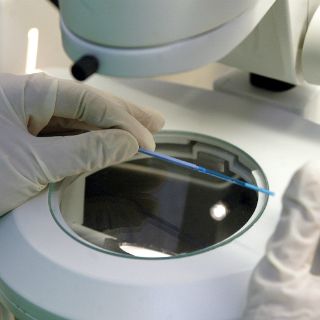 Una misión científica china logra desarrollar embriones en el espacio