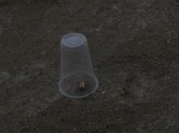 El perredista, quien contendió por la alcaldía de Tepecoacuilco hace más de una década, presentaba dos balas en la cabeza. EL INFORMADOR / ARCHIVO