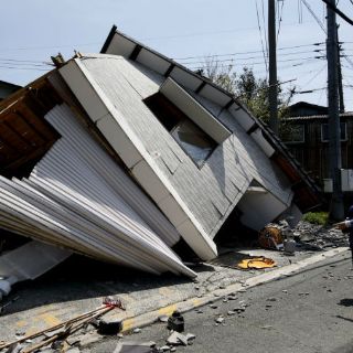 Murakami crea fondo de apoyo para víctimas de sismos en Japón
