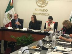 Carlos Manuel Sada Solana compareció este miércoles ante comisiones de Relaciones Exteriores de la Cámara alta. TWITTER / @ralbores