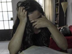 La luz artificial afecta a los humanos, los animales y las plantas. EL INFORMADOR / ARCHIVO