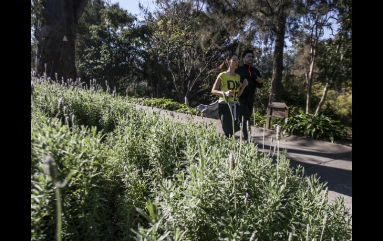 Carlos Trejo, procurador social de Jalisco, aclara que el Gobierno no pelea la propiedad sino el derecho al medio ambiente. EL INFORMADOR / ARCHIVO
