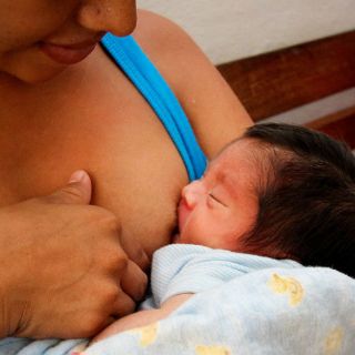 Intolerancia a galactosa provoca daños en el organismo