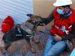 Un rescatista canino y su perro descansan luego de trabajar en labores de rescate y recuperación de cuerpos. EFE / C. Escobar