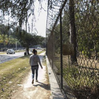 Gobierno desestima revés jurídico en disputa por predio en Colomos III