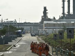 El sábado por la tarde arribaron al lugar los binomios humanos-caninos especialistas en rescate urbano. AFP / ARCHIVO