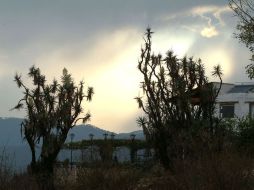 Tapalpa, Pueblo Mágico. EL INFORMADOR / ARCHIVO