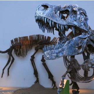 Los dinosaurios emigraron de Europa durante el Cretácico