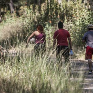 Predio del Colomos es declarado zona de recuperación ambiental