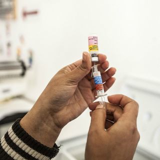 Científicos mexicanos buscan optimizar vacuna contra tuberculosis