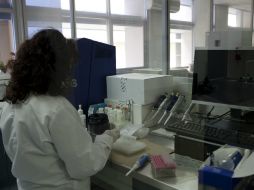 Los científicos modificaron los niveles del neurotransmisor y la octopamina. EL INFORMADOR / ARCHIVO