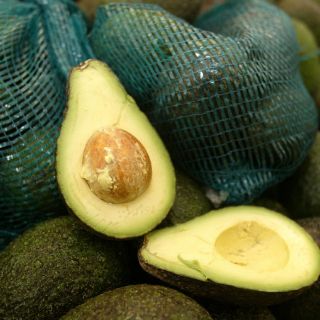 Exposición mostrará innovación de producción alimentaria en Jalisco