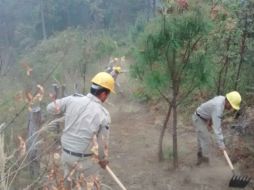 Hasta ahora 12 brigadistas han requerido atención médica por quemaduras, fatiga e intoxicaciones durante las tareas. TWITTER / @CONAFOR
